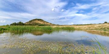 Balsa de las Cortinas ©Francis Vaquero_Turismo de Navarra