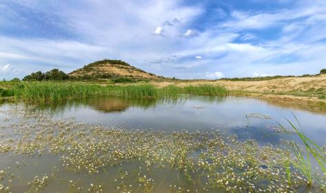 Balsa de las Cortinas ©Francis Vaquero_Turismo de Navarra